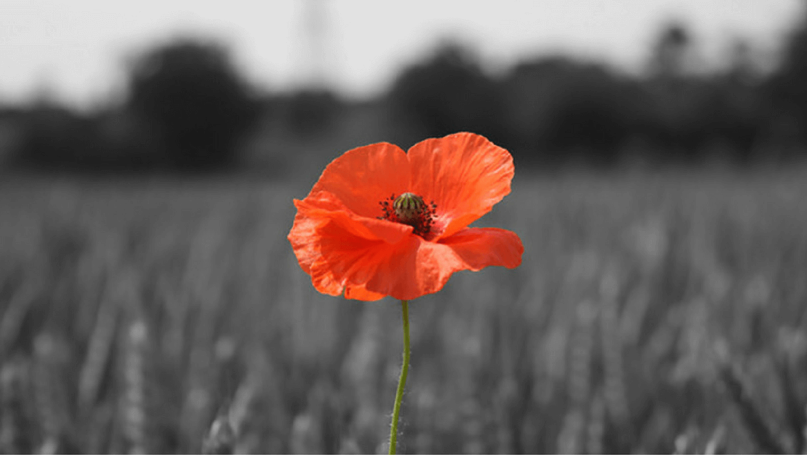 Slideshow image